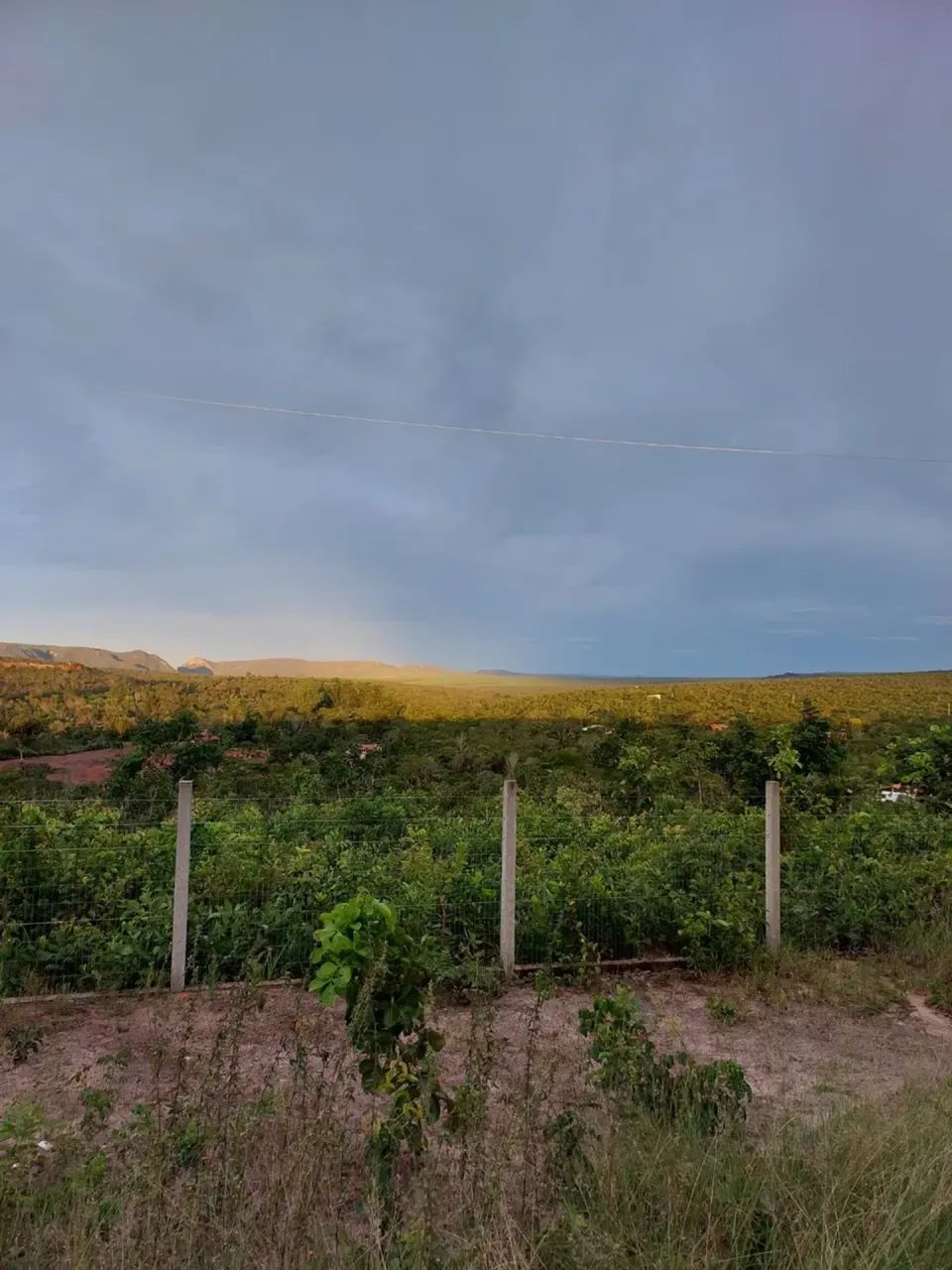 Chá cara em Chapada dos Guimarães - Foto 2