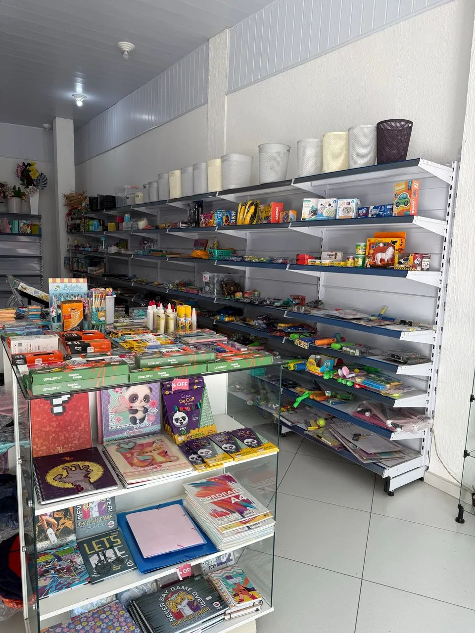 Vendo ESTOQUE COMPLETO E PRATELEIRAS de Loja de Variedades!! - Foto 4