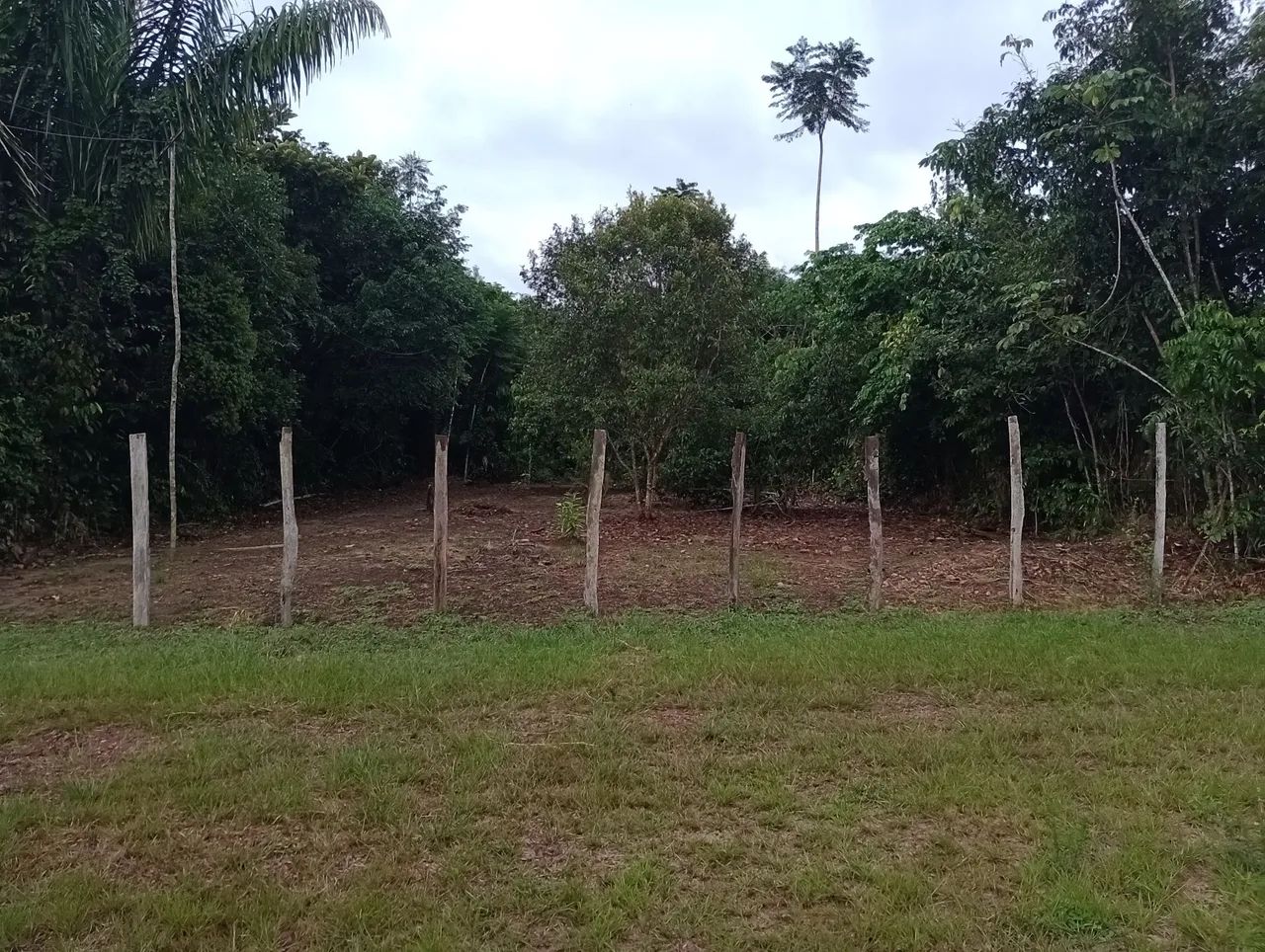 Terreno  - Foto 5