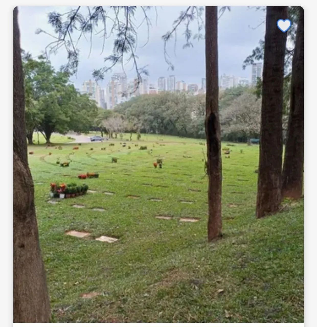 Jazigo Cemitério do Morumbi  - Foto 4