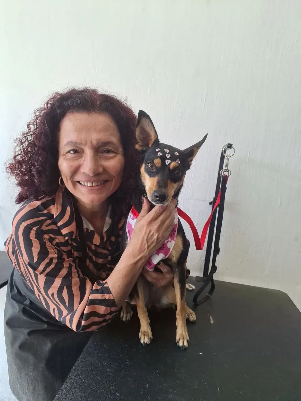Banho e Tosa em Domicílio ? - Foto 4