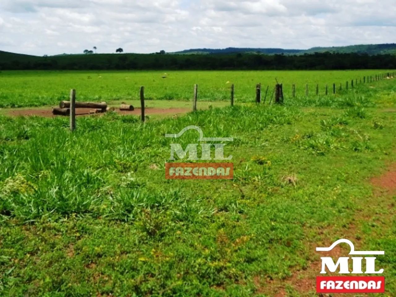 Fazenda 295 Alqueires (1.428 Hectares) Minaçu - GO - Foto 4