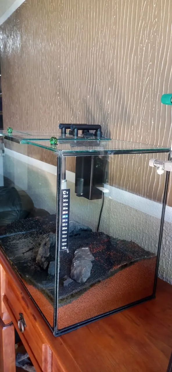 ANIMAIS - Foto 4