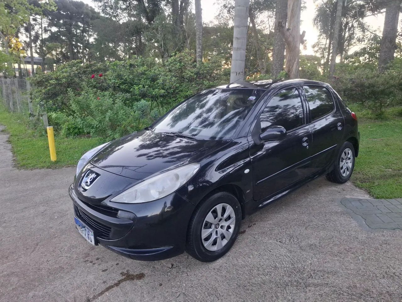 Peugeot 207 207 XR 1.4 FLEX 8V 5P 2009