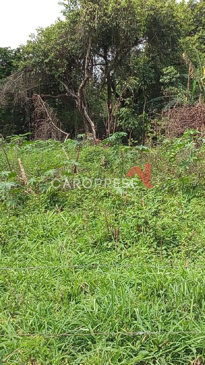 Terreno em Parque Capivari - Foto 5