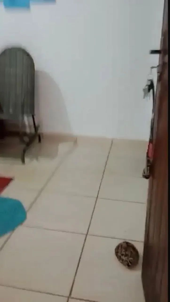 Vendo casa 1306 sul  - Foto 4