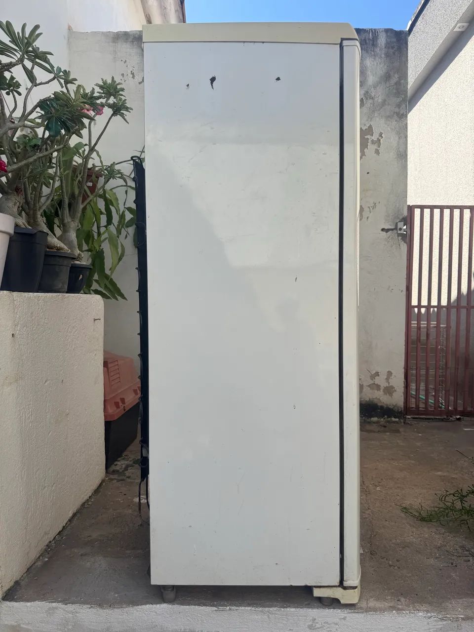 Frizzer vertical 