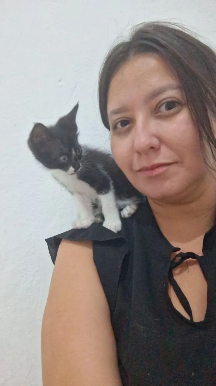 Adoção Responsável  - Foto 3