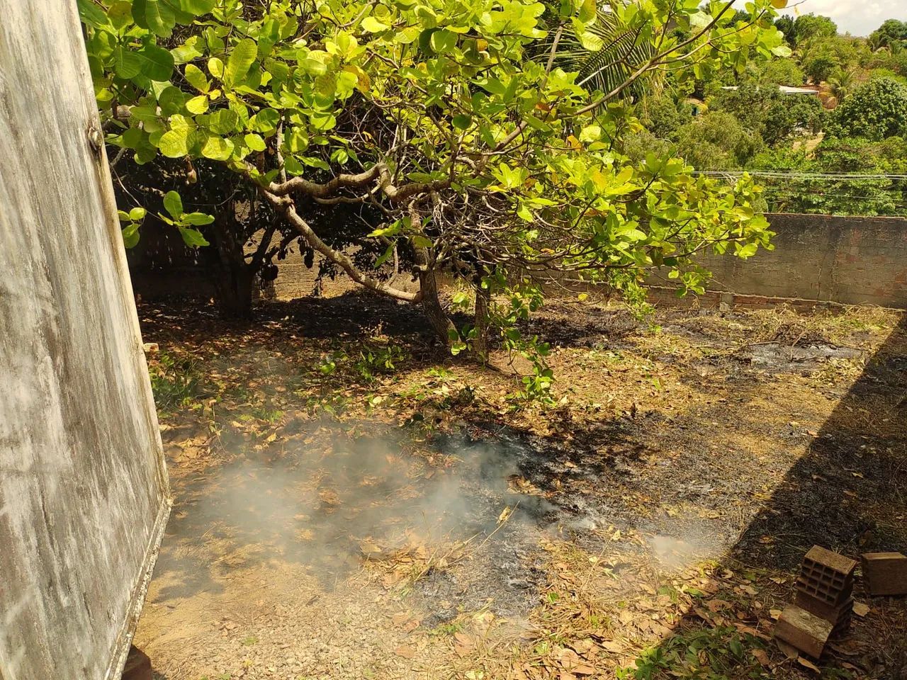 Vendo ou troco terreno em Rio Formoso - Foto 4