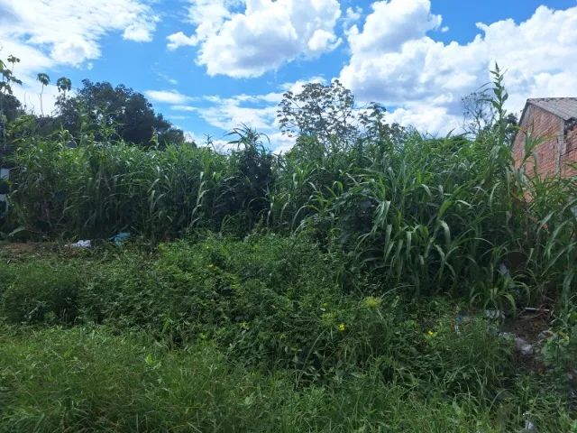 Terreno a venda em Mongaguá com documentação em dia, com 255m2 e com  escritura definitiva - Foto 5