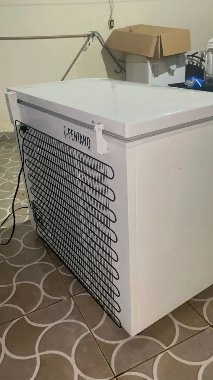 Frezzer Eletrolux 314 Litros  - Foto 4