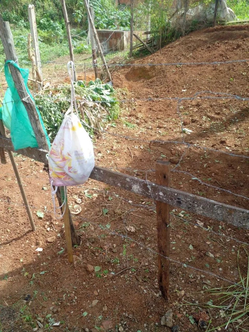 Terreno 