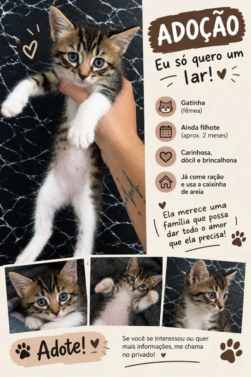 Adoção responsável!  - Foto 2