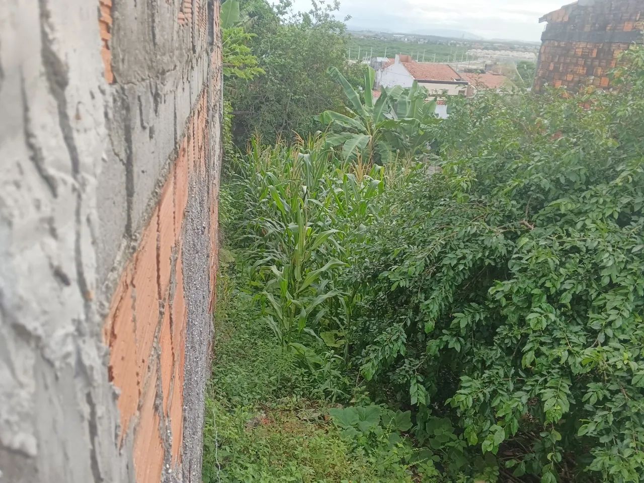 Terreno com escritura no Lamarão 