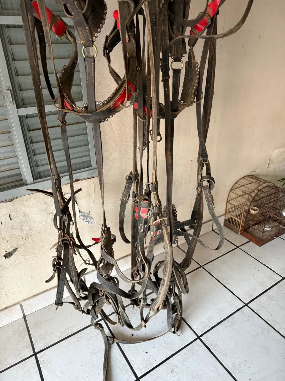Curiama de 2 cavalos  - Foto 2