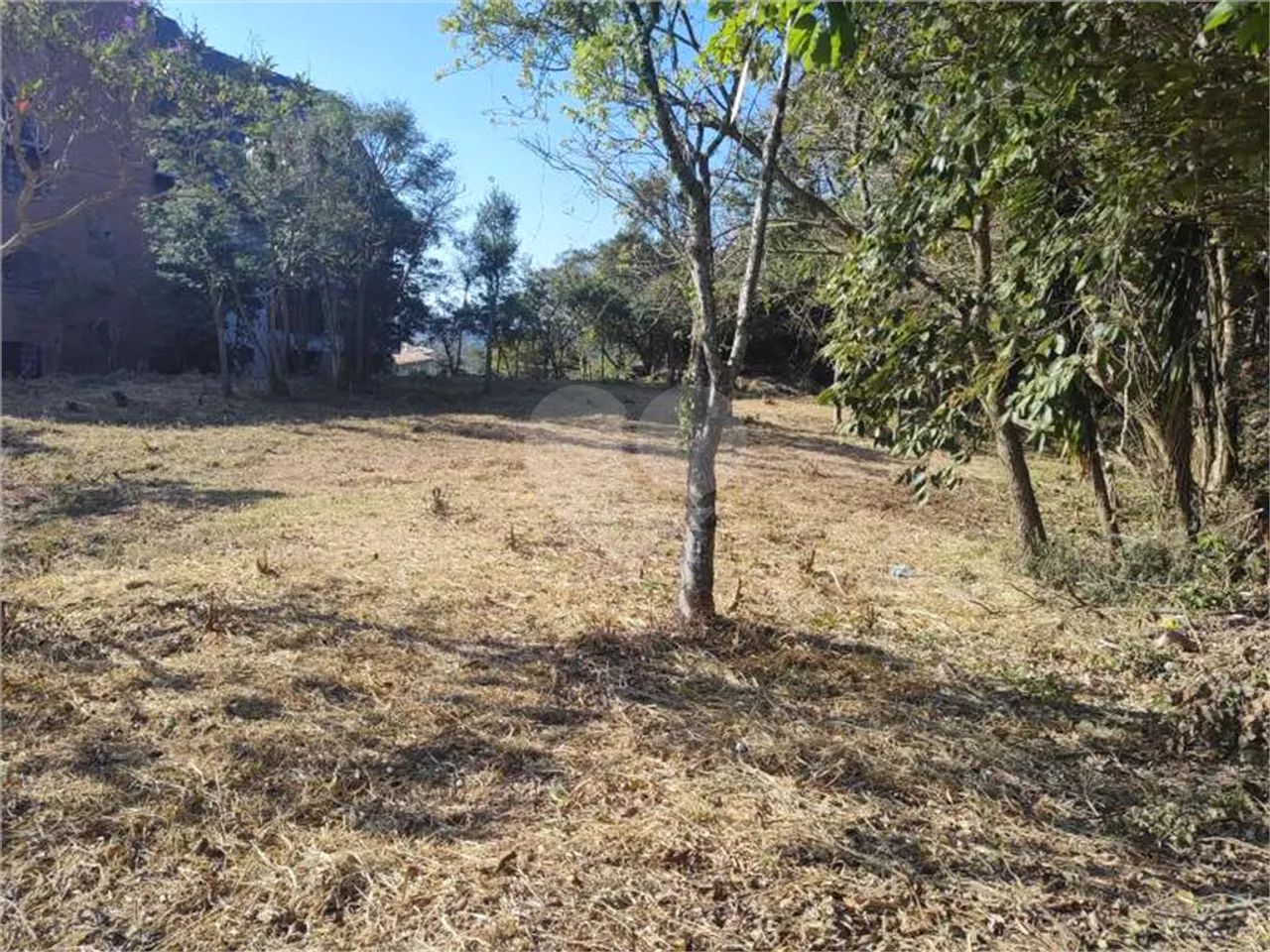 Terreno à venda em Parque arco iris - SP - Foto 3