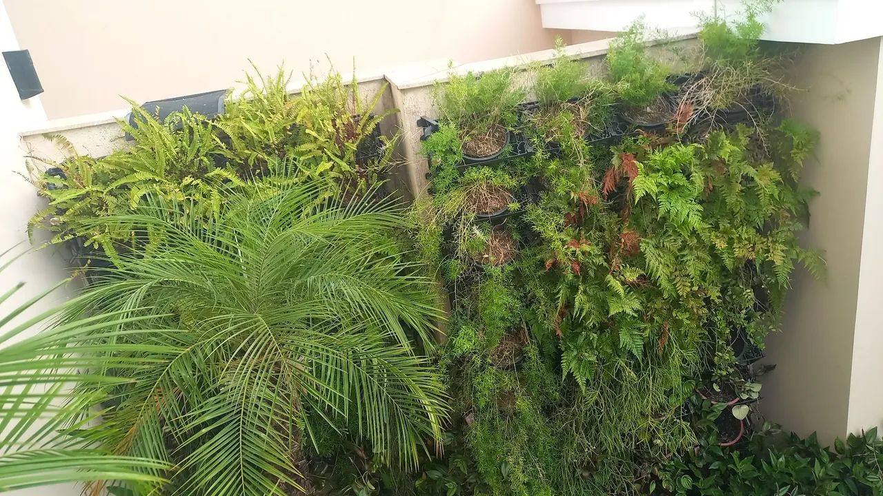Jardineiro profissional  - Foto 2