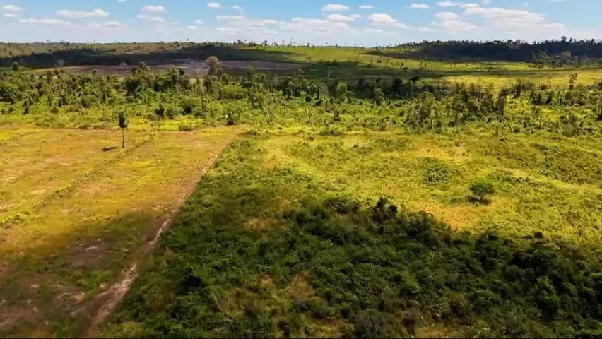 Terra de 6 alqueire  - Foto 3