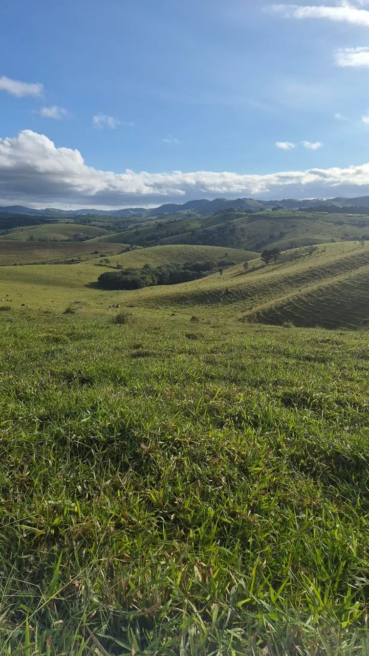 Sítio a partir de 20.000mts Paraibuna SP