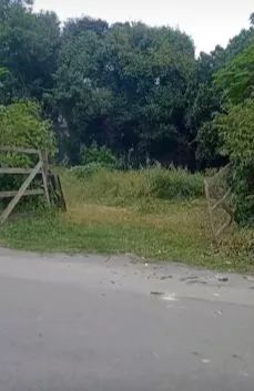 Foto - Taubaté - Esplanada Santa Terezinha