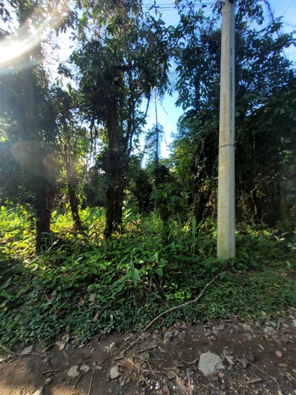 Foto - São Sebastião - Bairro de Camburi