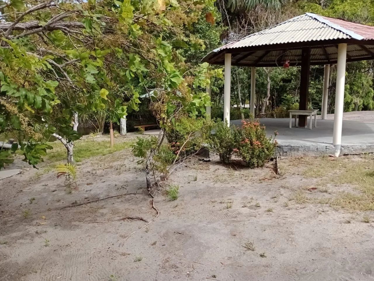 Vennde-se uma Chácara na Região do Auau PORTEIRA FECHADA  - Foto 4