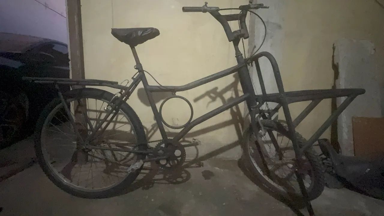 Bicicleta de carga!