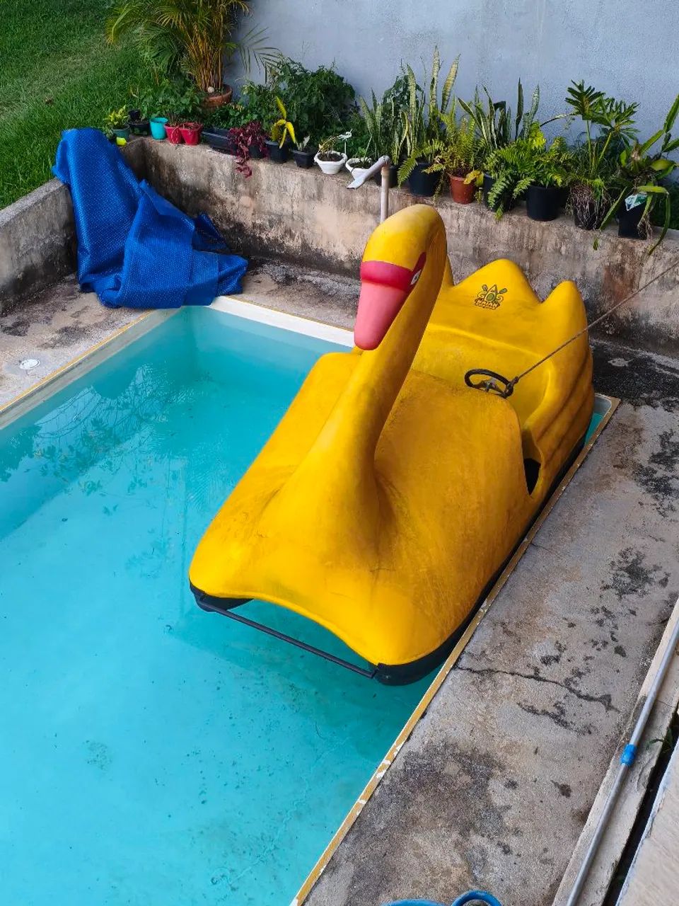 Pedalinho Cisne - Foto 2