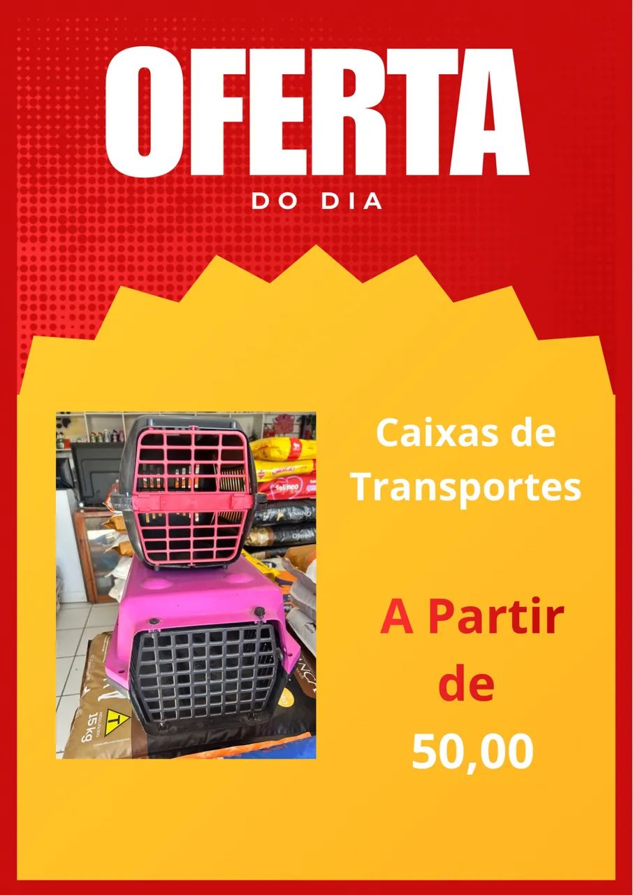 CAIXAS DE TRANSPORTE 