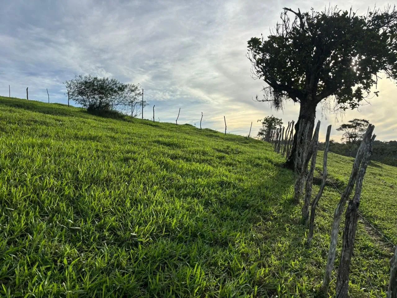 Excelente Terreno à Venda em Feira Nova de Orobó/PE - Foto 3