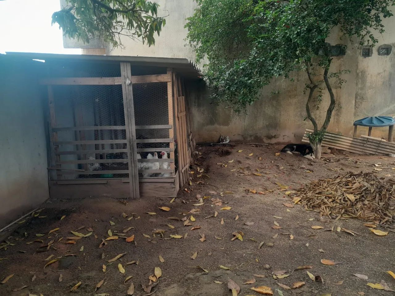 Foto - Rio das Ostras - Residencial Praia Âncora