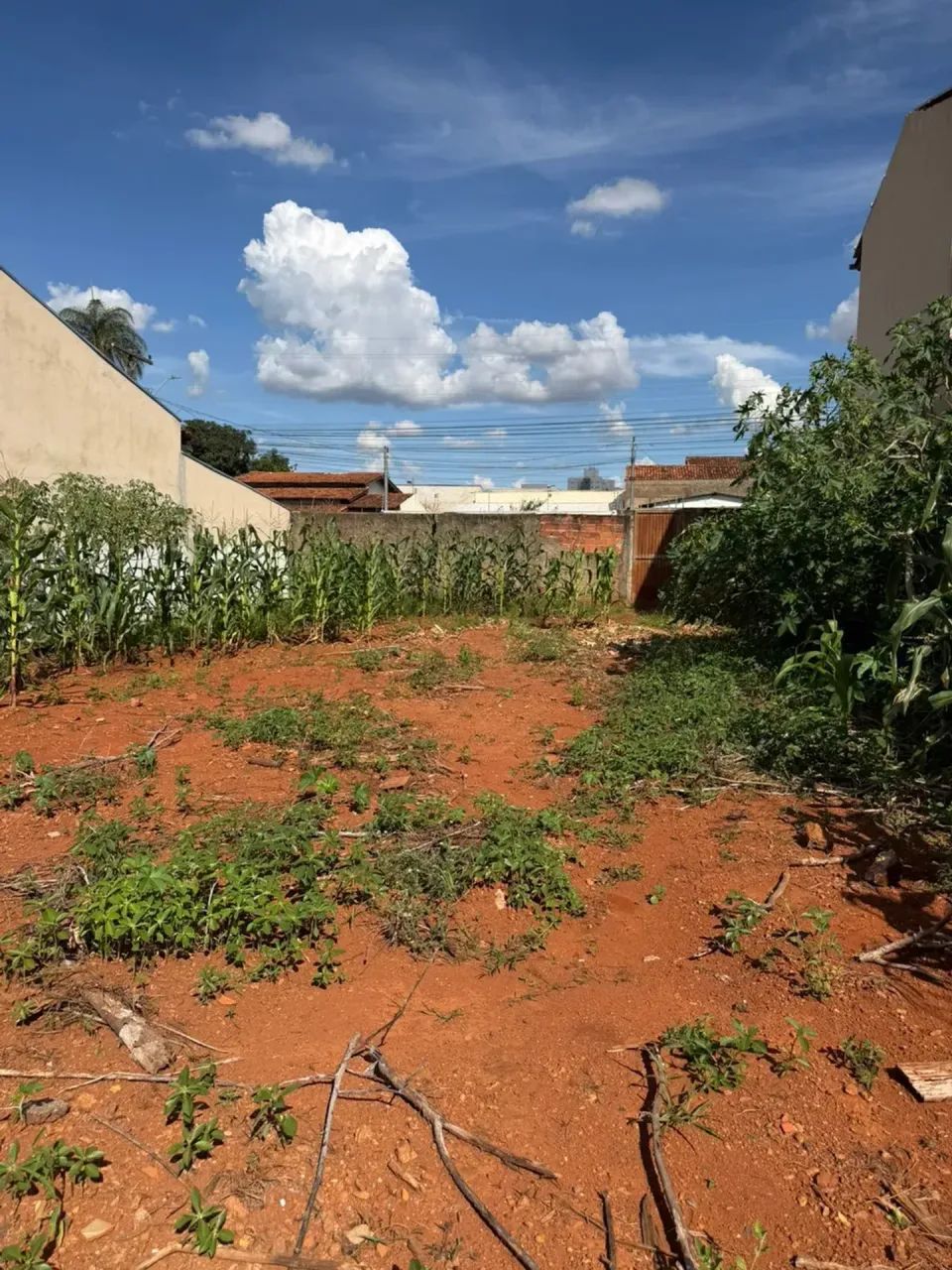 Lote no Jundiaí - Foto 4