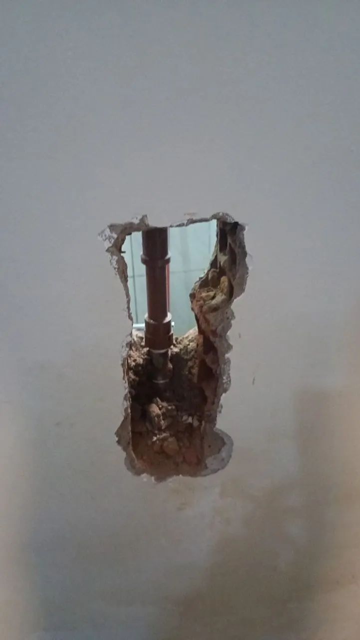 Marido de Aluguel - Foto 3