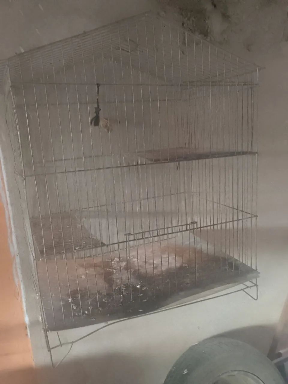 Gaiola grande  - Foto 2