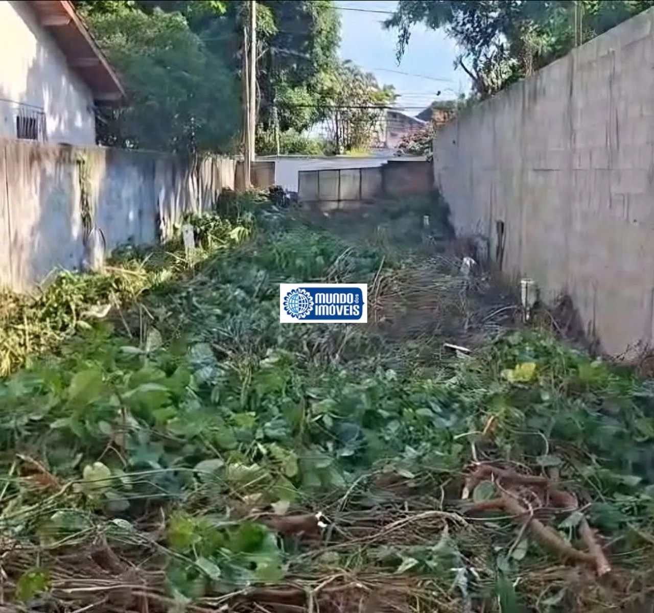 Túnel Cafubá terreno plano pronto para construir - Foto 5