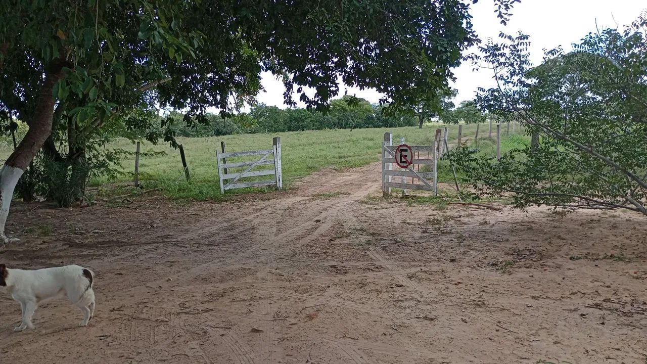 Sitio 29 hectares, livramento - Foto 2