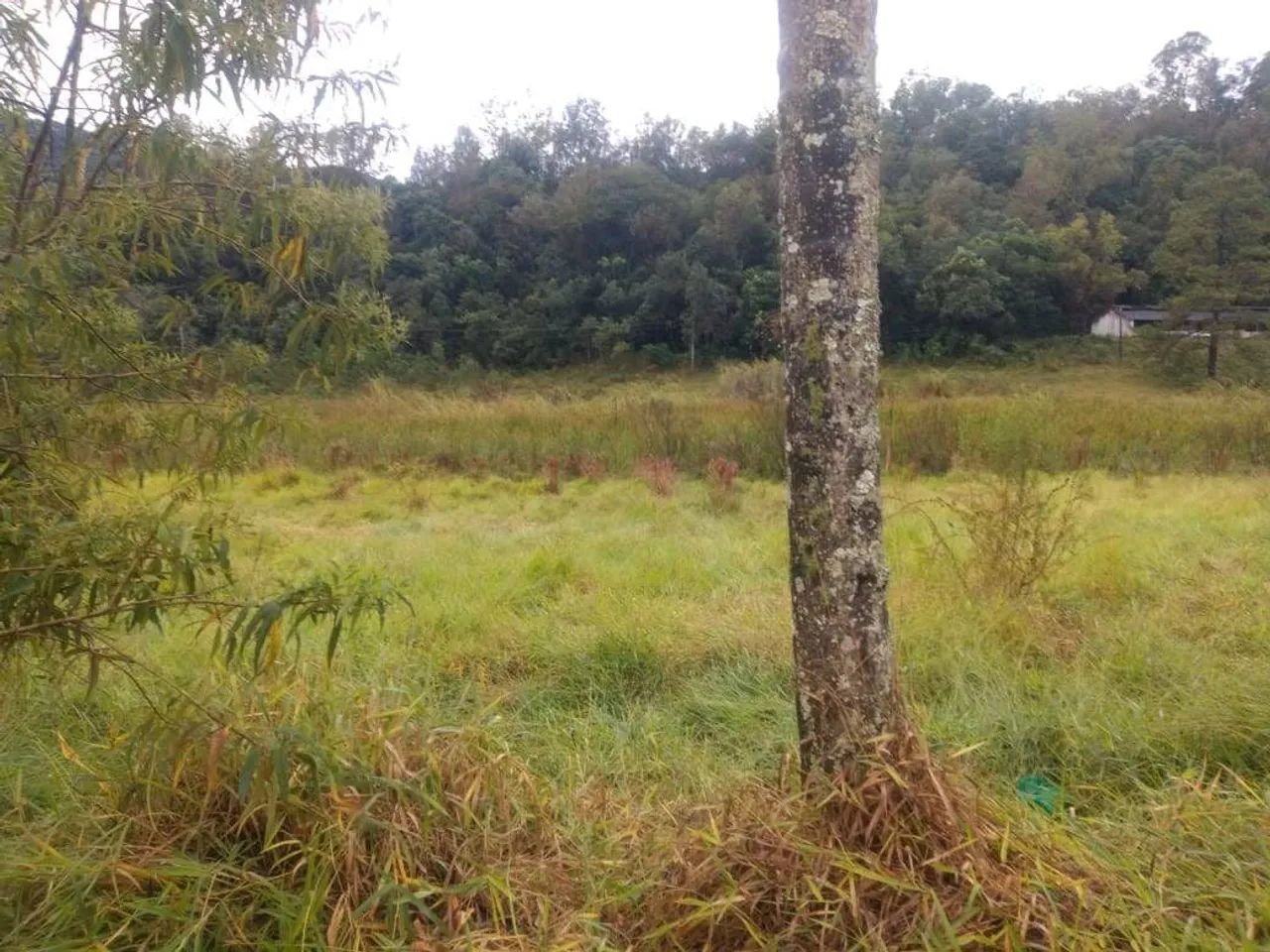 Terreno 340 m² Jarinu.  - Foto 4