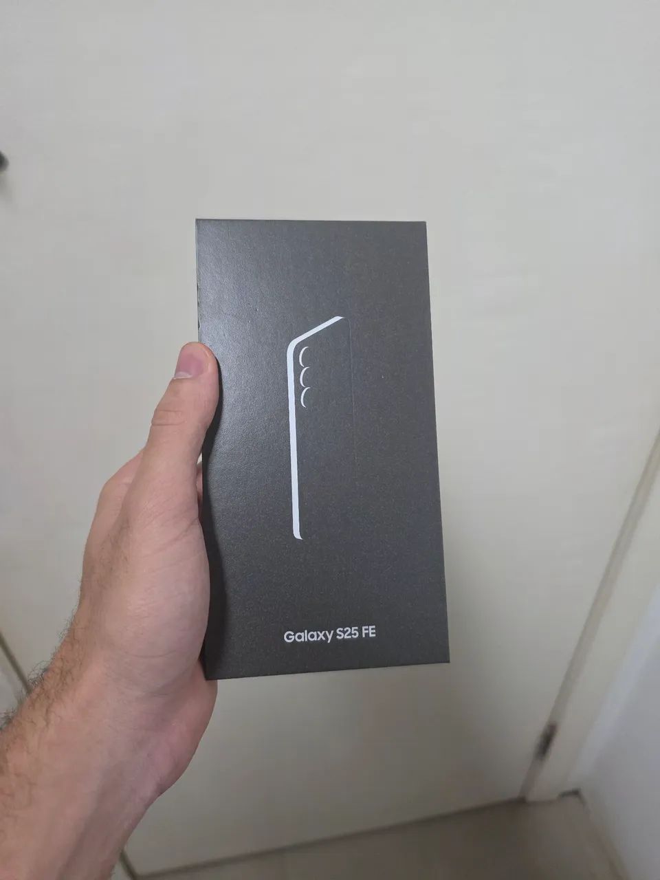 S25 FE 256GB 