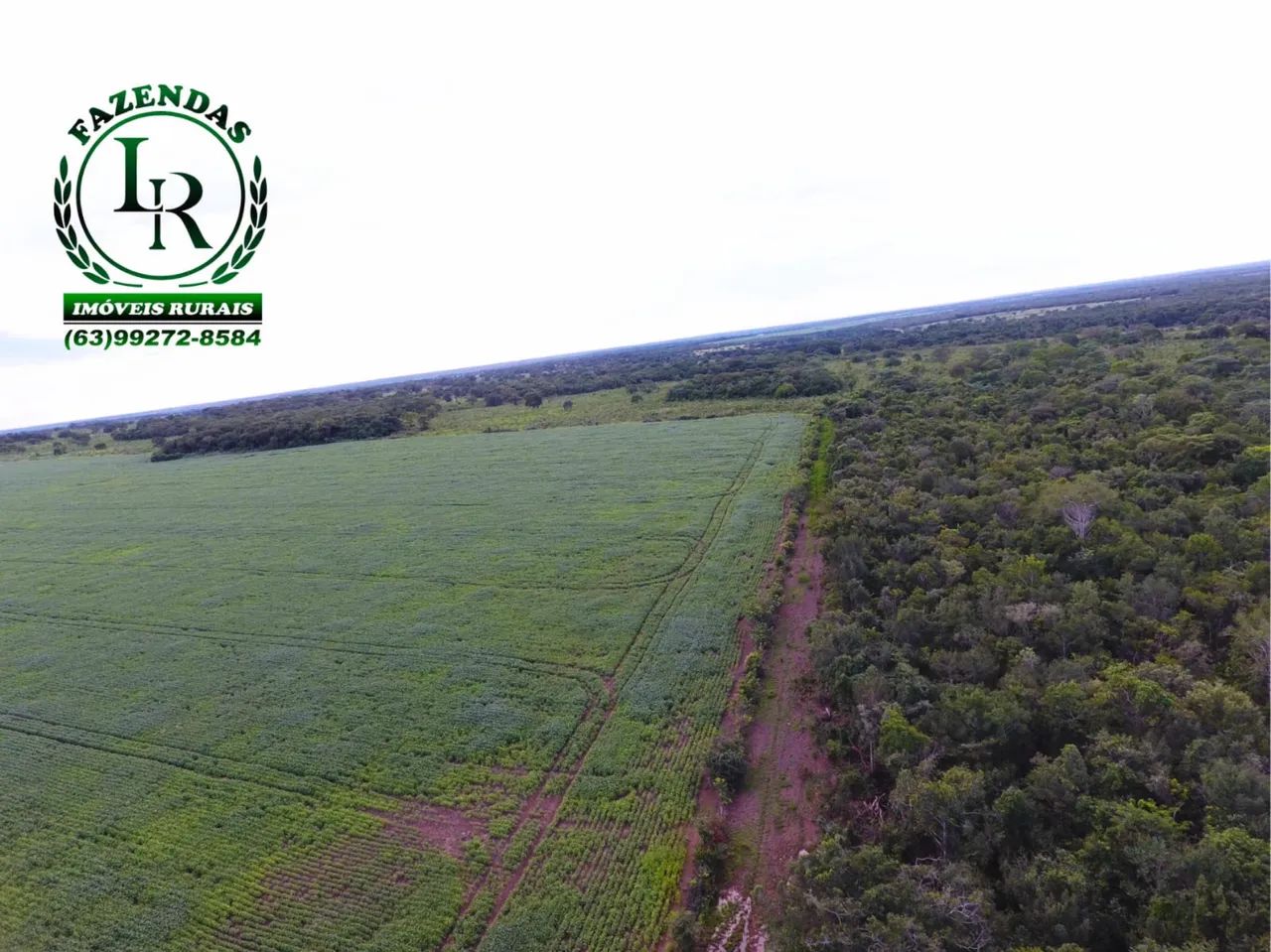 Fazenda Bruta 257 Alqueires Vale do Araguaia  - Foto 3