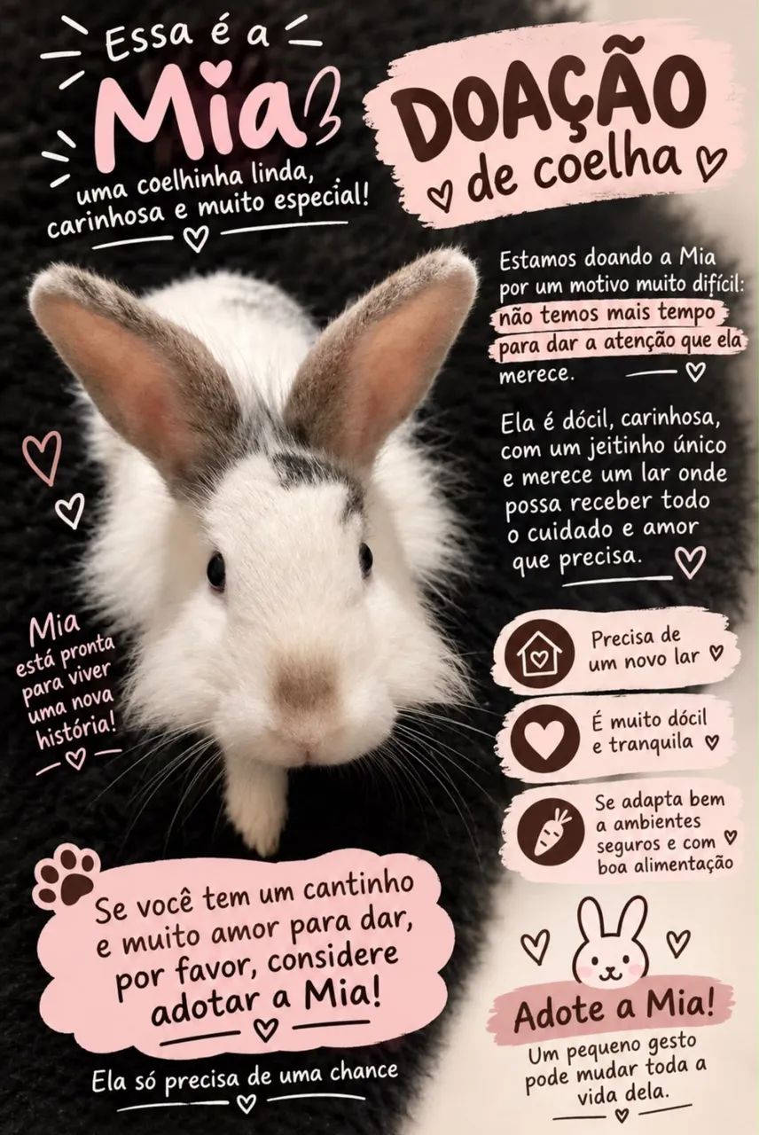 Coelhinha 
