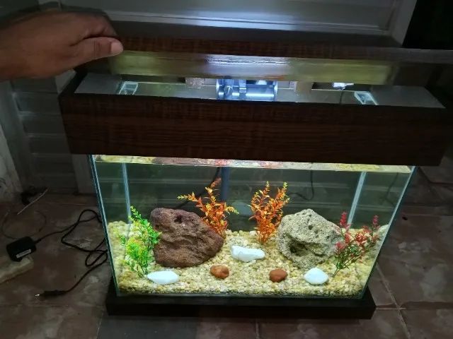 Aquário Novo e Completo 42L - Foto 4