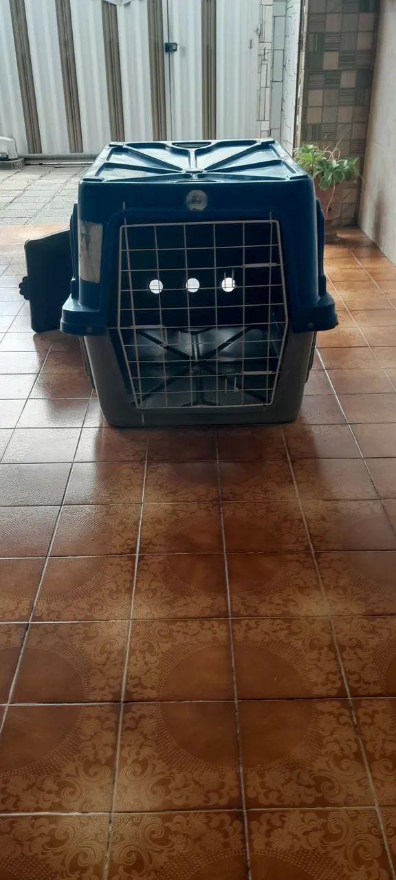 Caixa Para Transporte de Cães  - Foto 2