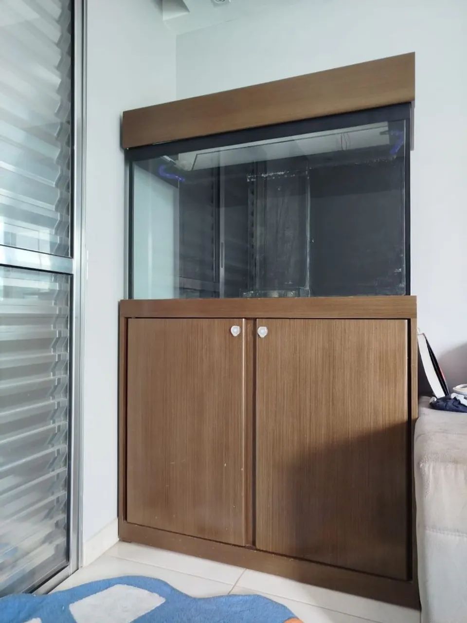 Aquário marinho. - Foto 2