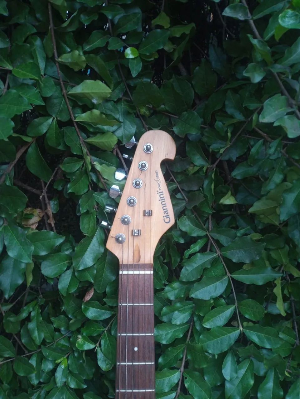 Guitarra Giannini Linda! - Foto 2