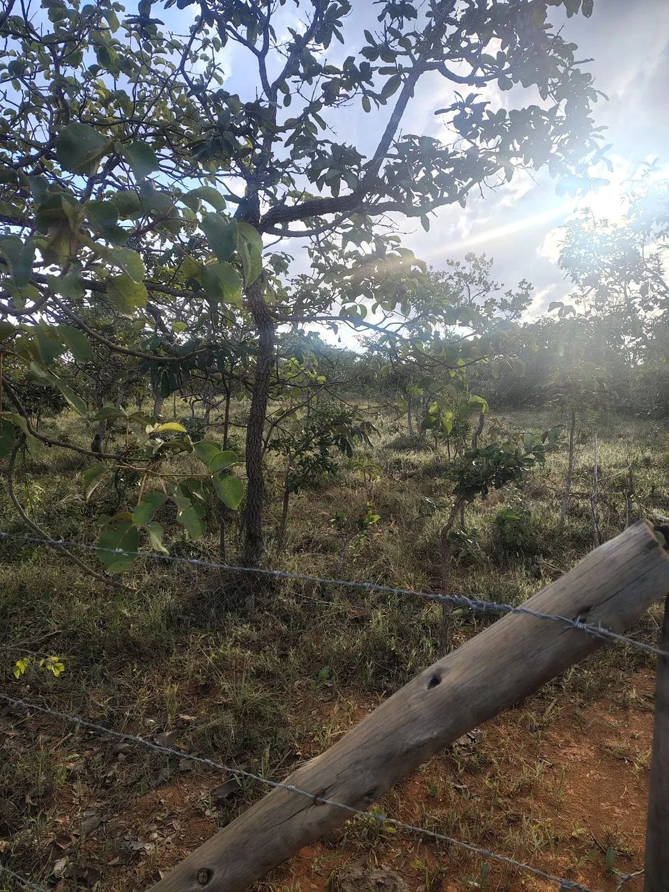 Lote - 1000 M2 Serra do Cipó  - Foto 5