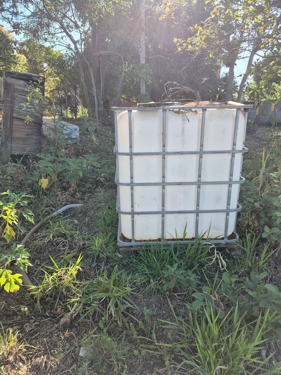 Container IBC de 1000 litros USADO - Foto 3