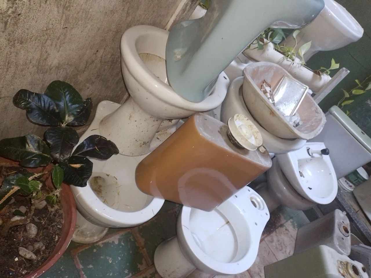 Vaso comum  40$ vaso acoplado  50$ SEM A CAIXA - Foto 3