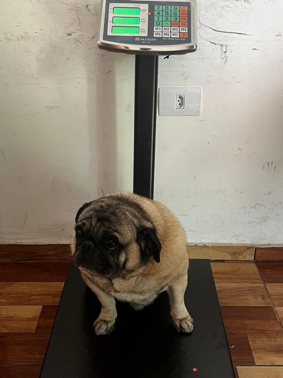 Balança Profissional 300kg - Bivolt, Base 40×50 - Foto 2