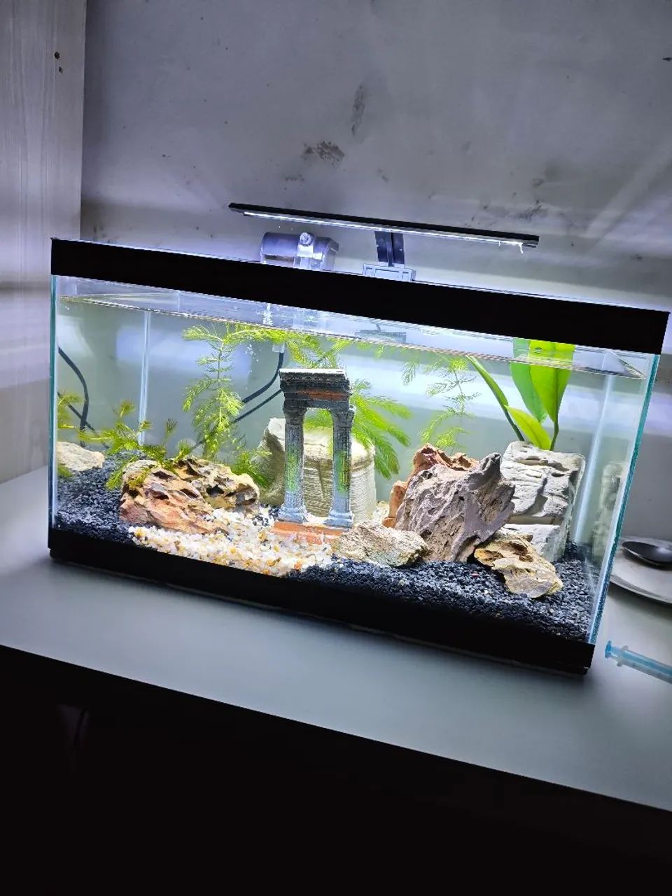 Aquário 36L completo 