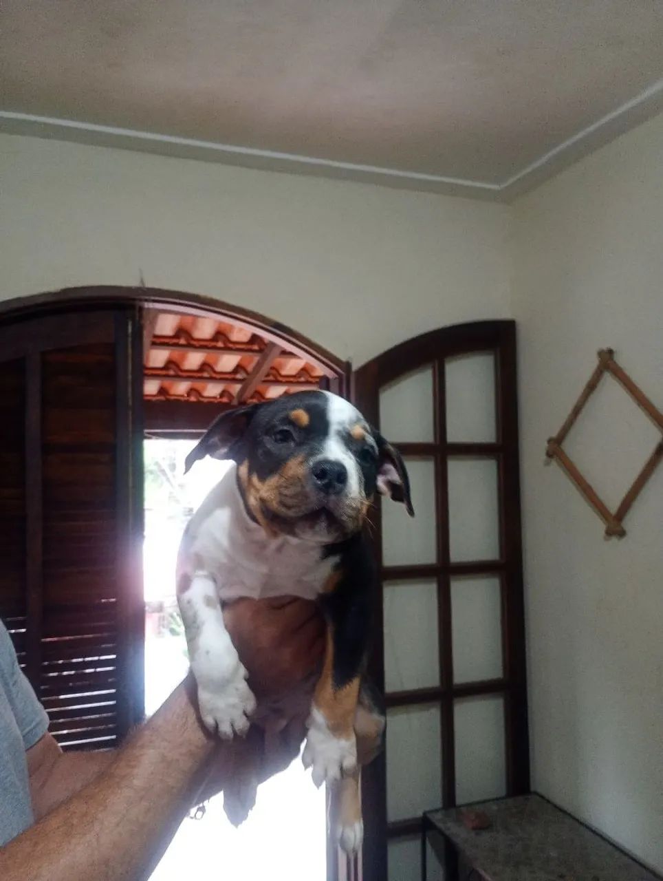 Venda - Foto 2
